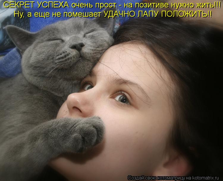 Котоматрица: СЕКРЕТ УСПЕХА очень прост - на позитиве нужно жить!!! Ну, а еще не помешает УДАЧНО ЛАПУ ПОЛОЖИТЬ!!