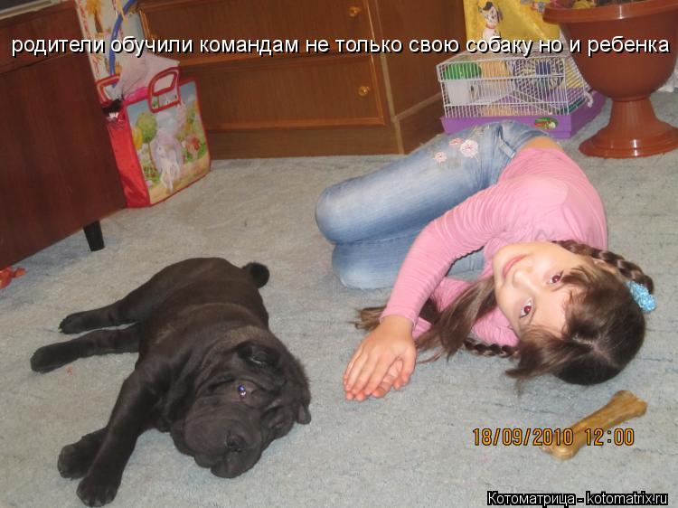 Котоматрица: родители обучили командам не только свою собаку но и ребенка