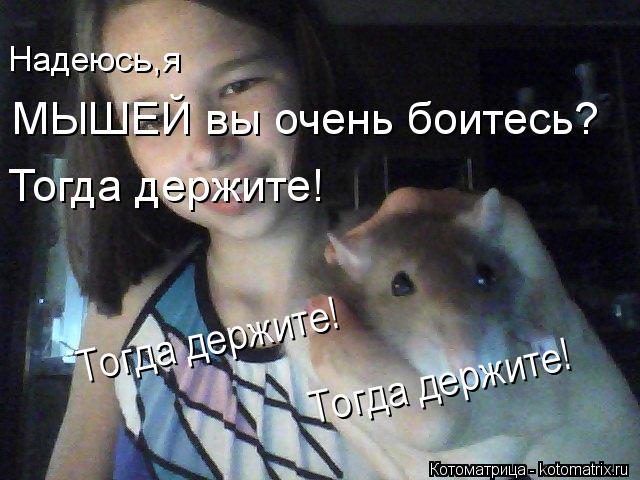 Котоматрица: Надеюсь,я МЫШЕЙ вы очень боитесь? Тогда держите! Тогда держите! Тогда держите!
