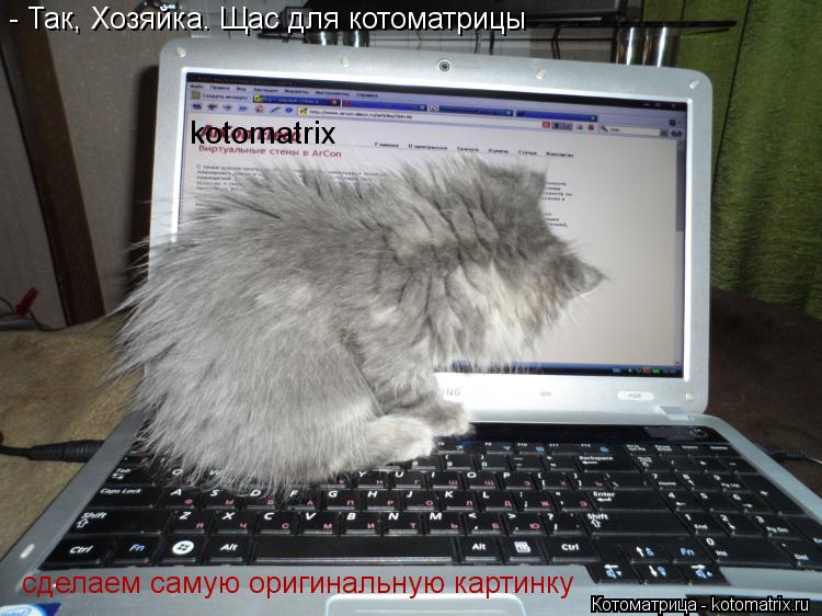 Котоматрица: - Так, Хозяйка. Щас для котоматрицы  сделаем самую оригинальную картинку kotomatrix