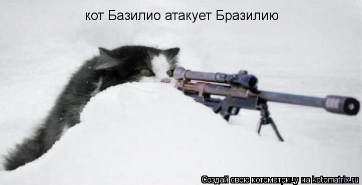 Котоматрица: кот Базилио атакует Бразилию