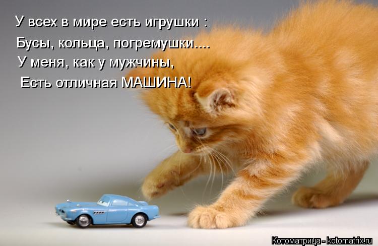 Котоматрица: У всех в мире есть игрушки : Бусы, кольца, погремушки.... У меня, как у мужчины, Есть отличная МАШИНА!
