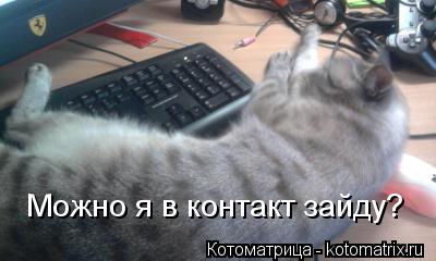Котоматрица: Можно я в контакт зайду?