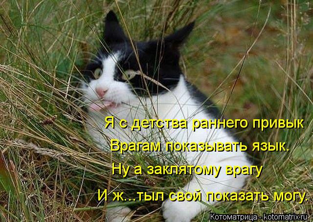 Я с детства раннего привык Врагам показывать язык. Ну а заклятому врагу И ж...тыл свой показать могу.... Котоматрица: Я с детства раннего привык Врагам показывать язык. Ну а заклятому врагу И ж...тыл свой показать могу.