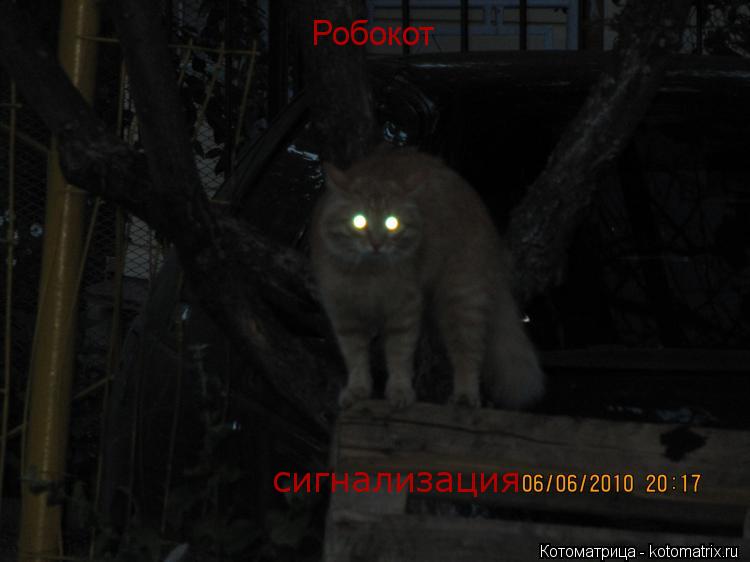 Котоматрица: Робокот сигнализация