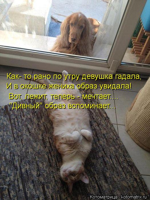 Котоматрица: Как- то рано по утру девушка гадала, И в окошке жениха образ увидала! Вот, лежит, теперь - мечтает.... "Дивный" образ вспоминает...