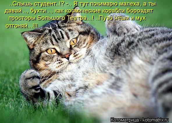 Котоматрица: ..Слышь студент..!? -.. Я тут покимарю малеха, а ты давай .., бухти .., как космические корабли бороздят просторы Большого Театра...! ..Пузо чеши и му