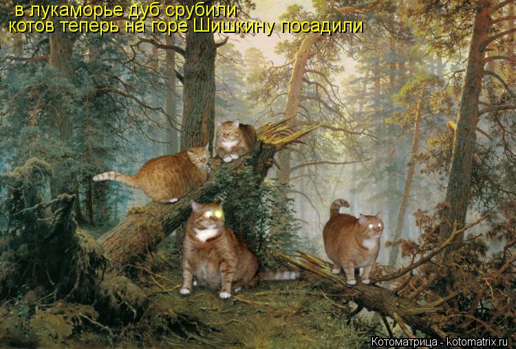 Котоматрица: в лукаморье дуб срубили котов теперь на горе Шишкину посадили