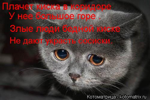 Не дают украсть сосиски. Плачет киска в коридоре У нее большое горе . Злые люди бедной киске... Котоматрица: Не дают украсть сосиски. Плачет киска в коридоре У нее большое горе . Злые люди бедной киске