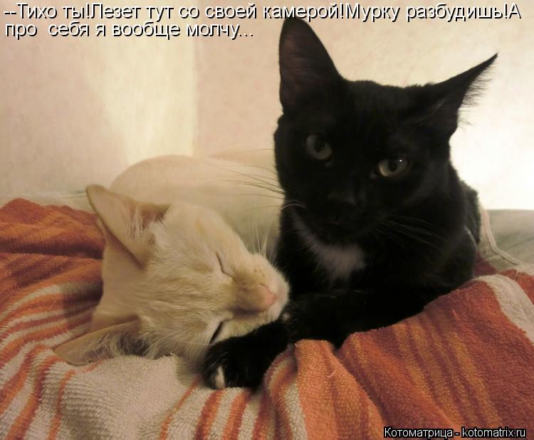 Котоматрица: --Тихо ты!Лезет тут со своей камерой!Мурку разбудишь!А про  себя я вообще молчу...