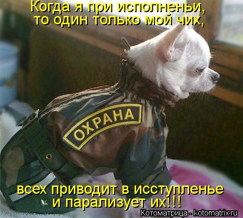 Котоматрица: Когда я при исполненьи,  то один только мой чих, и парализует их!!! всех приводит в исступленье