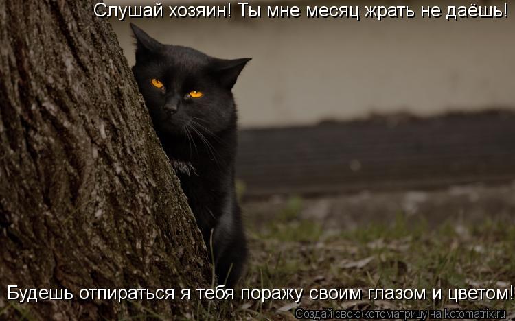 Котоматрица: Слушай хозяин! Ты мне месяц жрать не даёшь! Будешь отпираться я тебя поражу своим глазом и цветом!