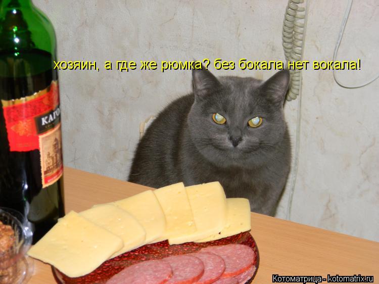 Котоматрица: хозяин, а где же рюмка? без бокала нет вокала!
