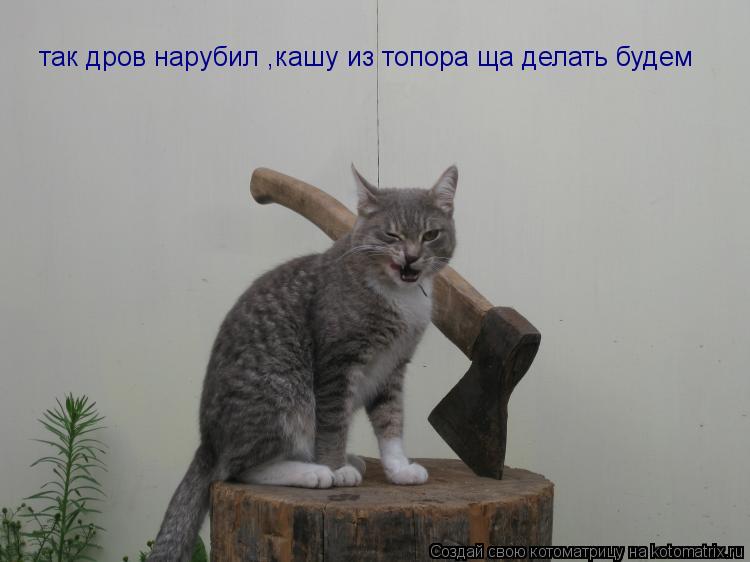 Котоматрица: так дров нарубил ,кашу из топора ща делать будем
