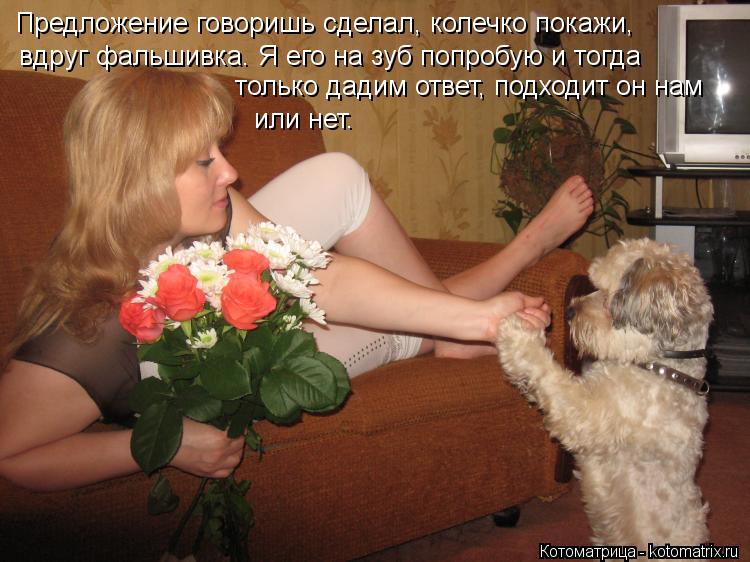 Котоматрица: Предложение говоришь сделал, колечко покажи, вдруг фальшивка. Я его на зуб попробую и тогда только дадим ответ, подходит он нам или нет.