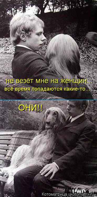 Котоматрица: не везёт мне на женщин... всё время попадаются какие-то... ОНИ!!