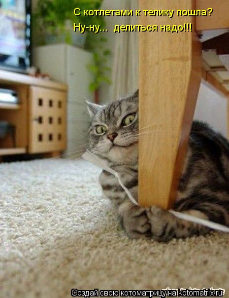 Котоматрица: С котлетами к телику пошла? Ну-ну...  делиться надо!!!