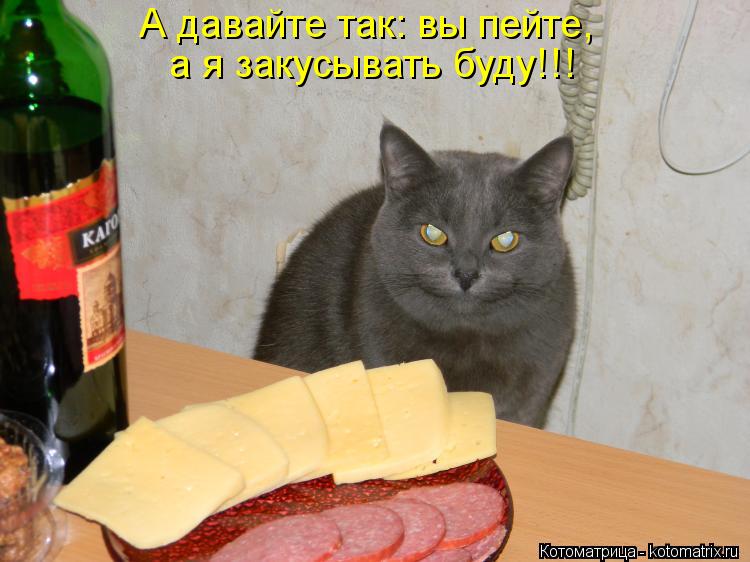 Котоматрица: А давайте так: вы пейте, а я закусывать буду!!!