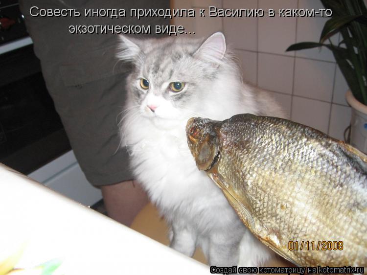 Котоматрица: Совесть иногда приходила к Василию в каком-то экзотическом виде...