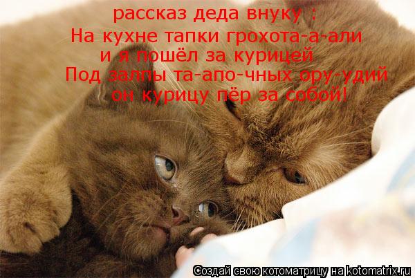 Котоматрица: рассказ деда внуку : На кухне тапки грохота-а-али    и я пошёл за курицей Под залпы та-апо-чных ору-удий  он курицу пёр за собой!