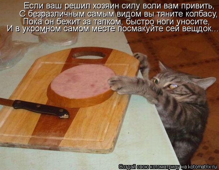 Котоматрица: Если ваш решил хозяин силу воли вам привить, С безразличным самым видом вы тяните колбасу, Пока он бежит за тапком, быстро ноги уносите,  И в 
