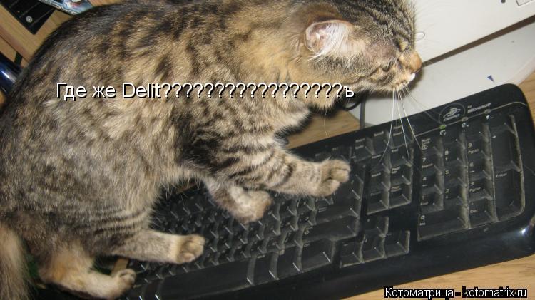 Котоматрица: Где же Delit?????????????????ъ