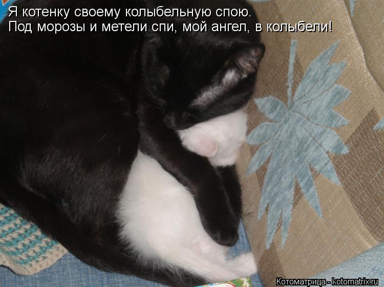 Котоматрица: Под морозы и метели спи, мой ангел, в колыбели! Я котенку своему колыбельную спою.