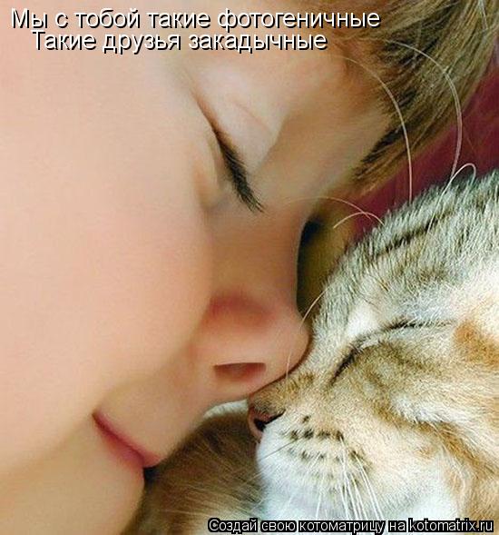 Котоматрица: Мы с тобой такие фотогеничные Такие друзья закадычные