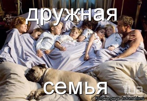 Котоматрица: дружная семья
