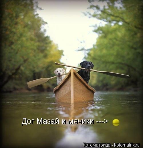 Котоматрица: Дог Мазай и мячики --->