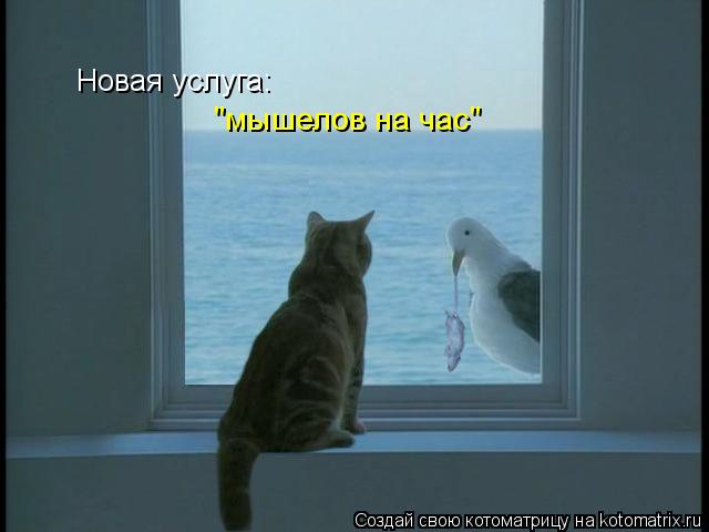 Котоматрица: Новая услуга: "мышелов на час"