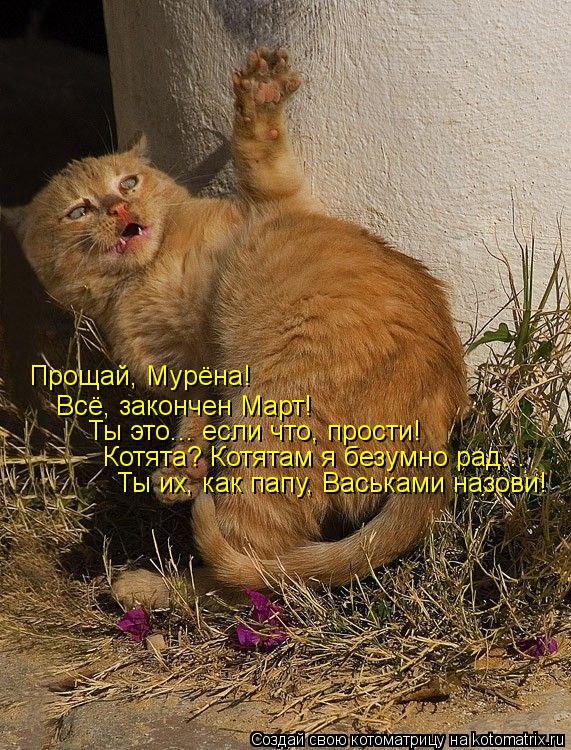 Котоматрица: Прощай, Мурёна! Всё, закончен Март! Ты это... если что, прости!  Котята? Котятам я безумно рад...  Ты их, как папу, Васьками назови!