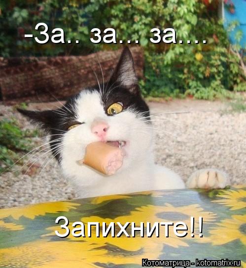 -За.. за... за.... Запихните!!... Котоматрица: -За.. за... за.... Запихните!!