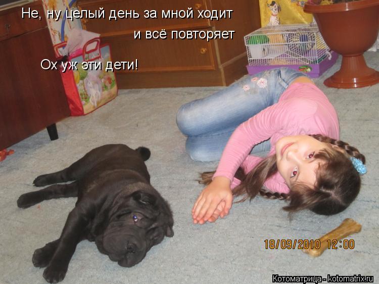 Котоматрица: Не, ну целый день за мной ходит  и всё повторяет Ох уж эти дети!