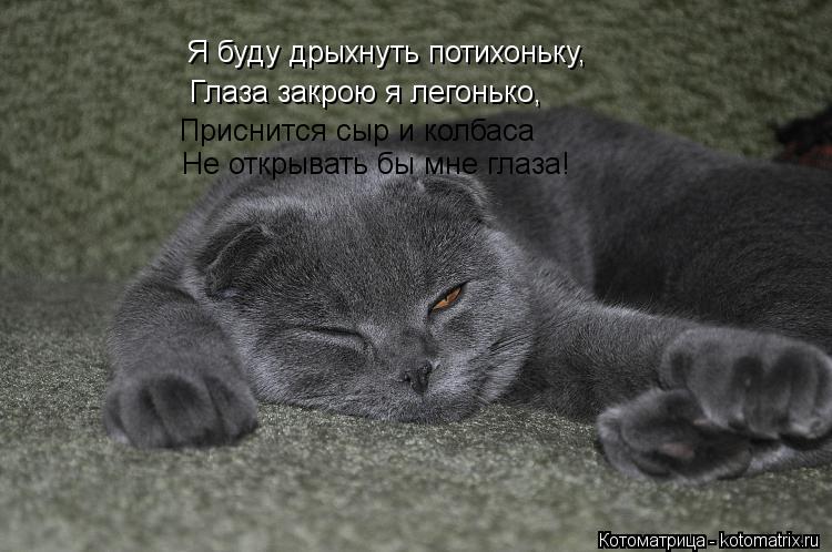Котоматрица: Я буду дрыхнуть потихоньку, Приснится сыр и колбаса Не открывать бы мне глаза! Глаза закрою я легонько,