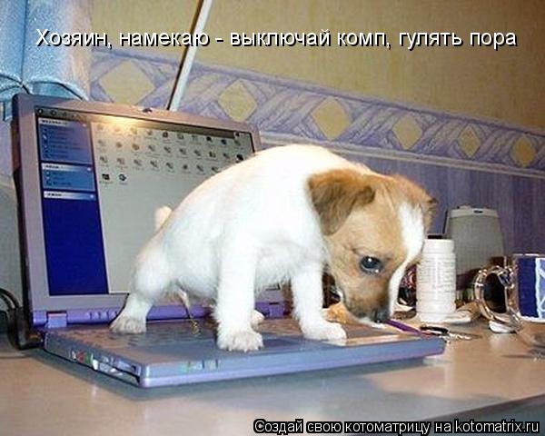 Котоматрица: Хозяин, намекаю - выключай комп, гулять пора
