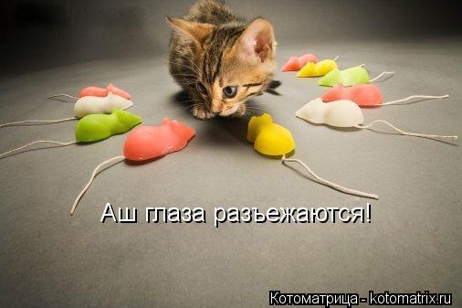 Котоматрица: Аш глаза разъежаются!