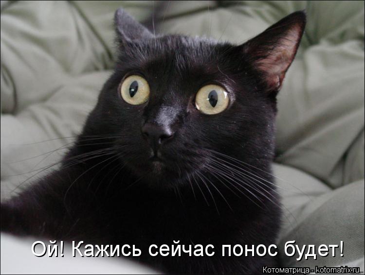 Котоматрица: Ой! Кажись сейчас понос будет!