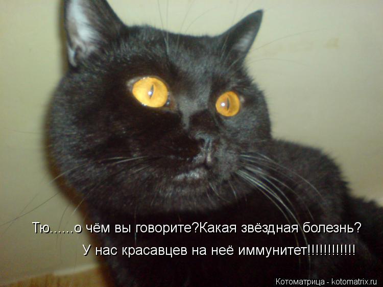 Тю......о чём вы говорите?Какая звёздная болезнь? У нас красавцев на неё иммунитет!!!!!!!!!!!!... Котоматрица: Тю......о чём вы говорите?Какая звёздная болезнь? У нас красавцев на неё иммунитет!!!!!!!!!!!!