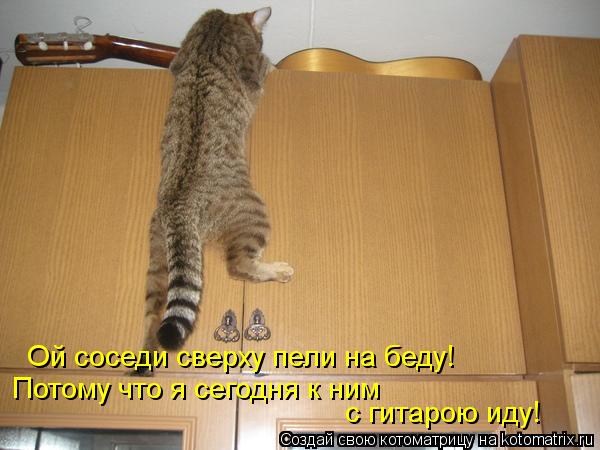 Котоматрица: Ой соседи сверху пели на беду! Потому что я сегодня к ним  с гитарою иду!