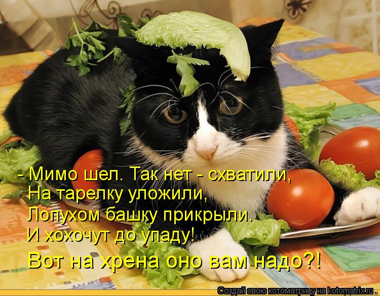 - Мимо шел. Так нет - схватили, На тарелку уложили, Лопухом башку прикрыли. И хохочут до упаду! Вот н... Котоматрица: - Мимо шел. Так нет - схватили, На тарелку уложили, Лопухом башку прикрыли. И хохочут до упаду! Вот на хрена оно вам надо?!