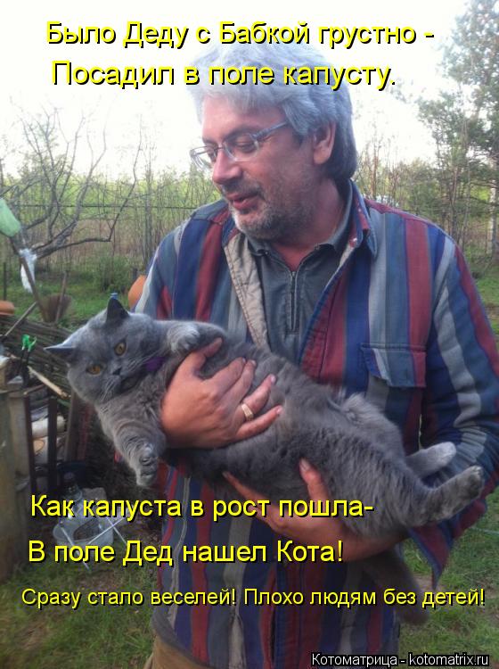 Котоматрица: Как капуста в рост пошла- Было Деду с Бабкой грустно - Посадил в поле капусту. Сразу стало веселей! Плохо людям без детей! В поле Дед нашел Кот