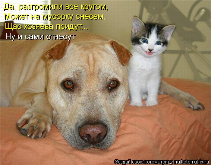 Да, разгромили все кругом, Может на мусорку снесем, Щас хозяева придут... Ну и сами отнесут... Котоматрица: Да, разгромили все кругом, Может на мусорку снесем, Щас хозяева придут... Ну и сами отнесут