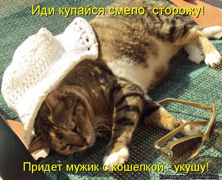 Котоматрица: Иди купайся смело, сторожу! Придет мужик с кошелкой - укушу!