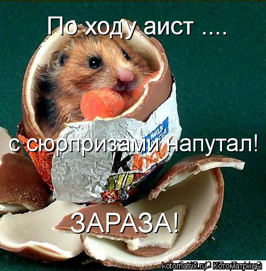 Котоматрица: ЗАРАЗА! По ходу аист .... с сюрпризами напутал!