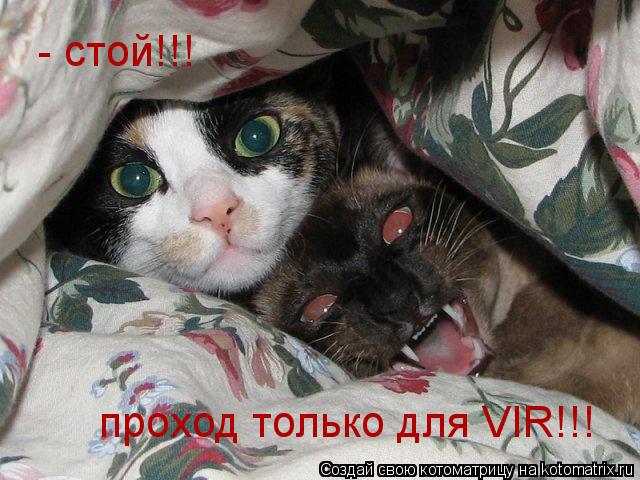 Котоматрица: - стой!!! проход только для VIR!!!
