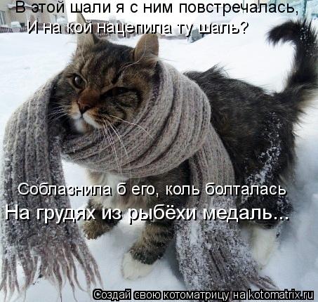 В этой шали я с ним повстречалась, И на кой нацепила ту шаль? Соблазнила б его, коль болталась На гру... Котоматрица: В этой шали я с ним повстречалась, И на кой нацепила ту шаль? Соблазнила б его, коль болталась На грудях из рыбёхи медаль...