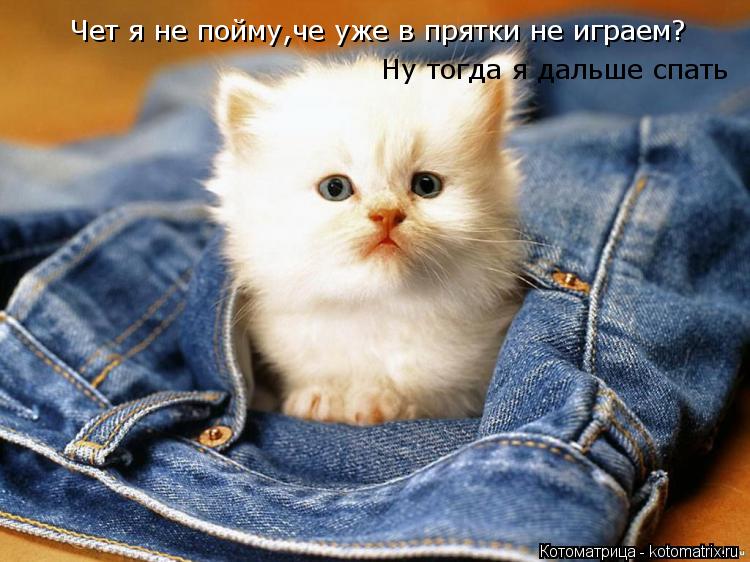 Котоматрица: Чет я не пойму,че уже в прятки не играем? Чет я не пойму,че уже в прятки не играем? Ну тогда я дальше спать