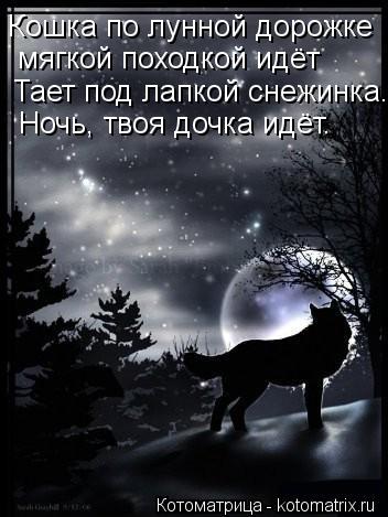 Котоматрица: Кошка по лунной дорожке  мягкой походкой идёт  Тает под лапкой снежинка...  Ночь, твоя дочка идёт.