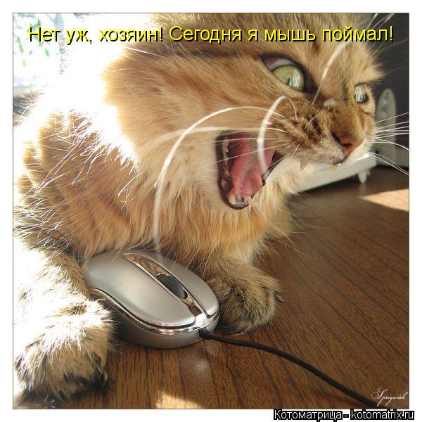 Котоматрица: Нет уж, хозяин! Сегодня я мышь поймал!